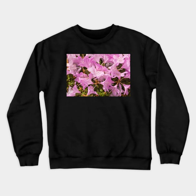 Pink Lilac Rhododendron Flowers Crewneck Sweatshirt by jojobob